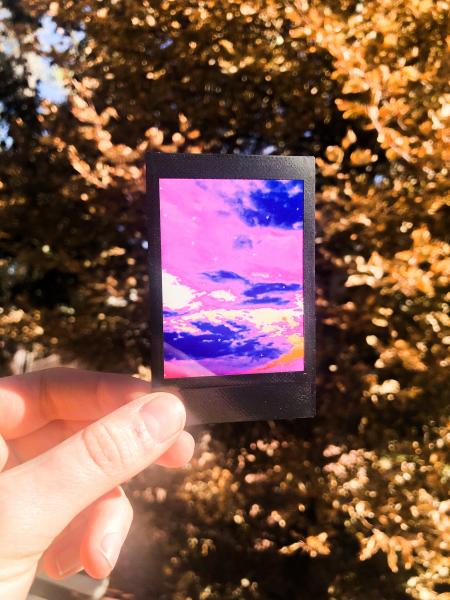 Polaroid Infrared Print- Single picture