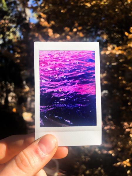 Polaroid Infrared Print- Three Pack picture