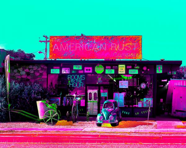 Panic at the Pandemic/ American Rust Company