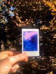 Polaroid Infrared Print- Three Pack