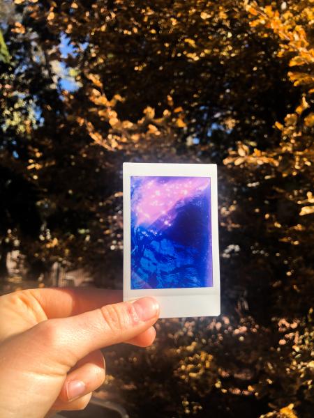 Polaroid Infrared Print- Three Pack picture