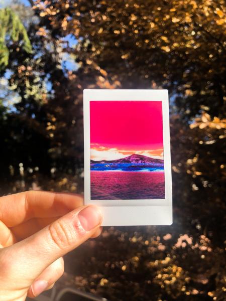 Polaroid Infrared Print- Two Prints