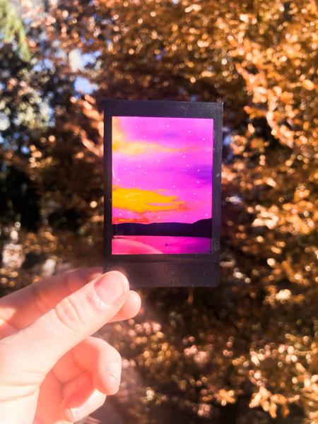 Polaroid Infrared Print- Single picture