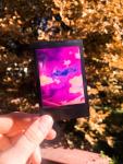 Polaroid Infrared Print- Single