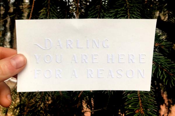 Darling you are here for a reason sticker