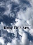 Daisy Field Arts