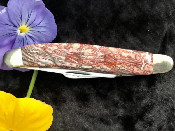 LEOPARD SKIN JASPER Whittler picture