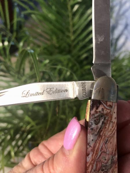 LEOPARD SKIN JASPER Whittler picture