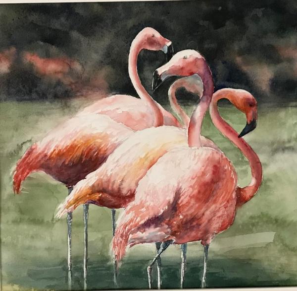 Flamingos picture