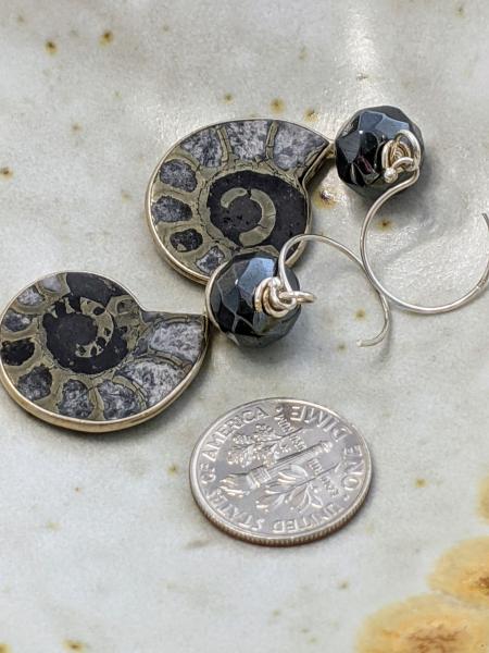 Polished Ammonites | Silver picture
