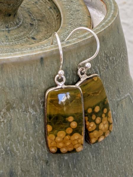 Ocean Jasper Tabs | Silver picture