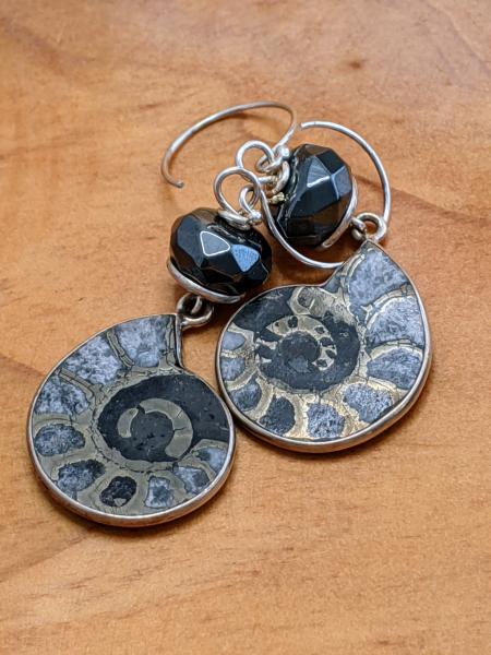 Polished Ammonites | Silver picture