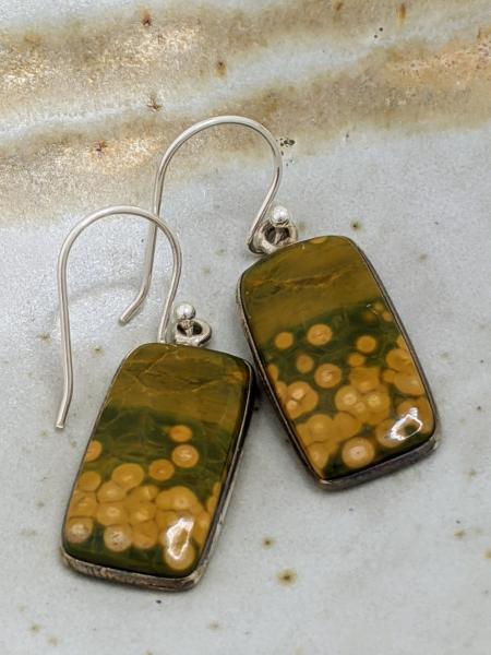 Ocean Jasper Tabs | Silver