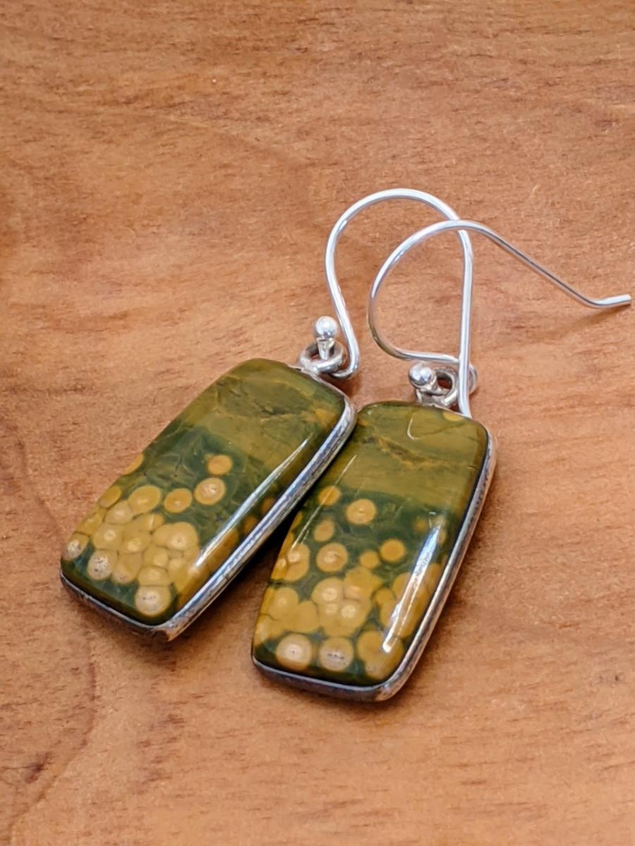 Ocean Jasper Tabs | Silver picture