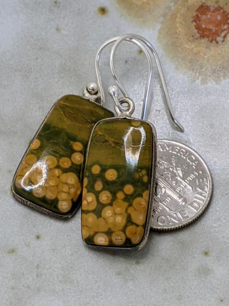 Ocean Jasper Tabs | Silver picture