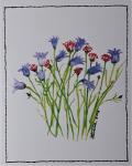 Corn Flowers 5 cards w/envelopes