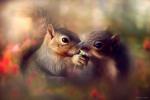 Two Knotty Squirrels