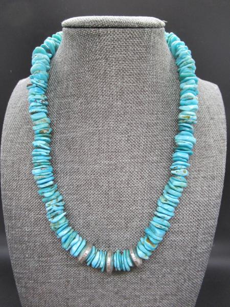 Turquoise Beaded Necklace picture