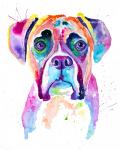 Boxer watercolor Fine Art Print, 8.5 x 11 inches