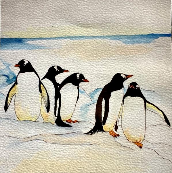 Gentoo penguins. Antarctica.
