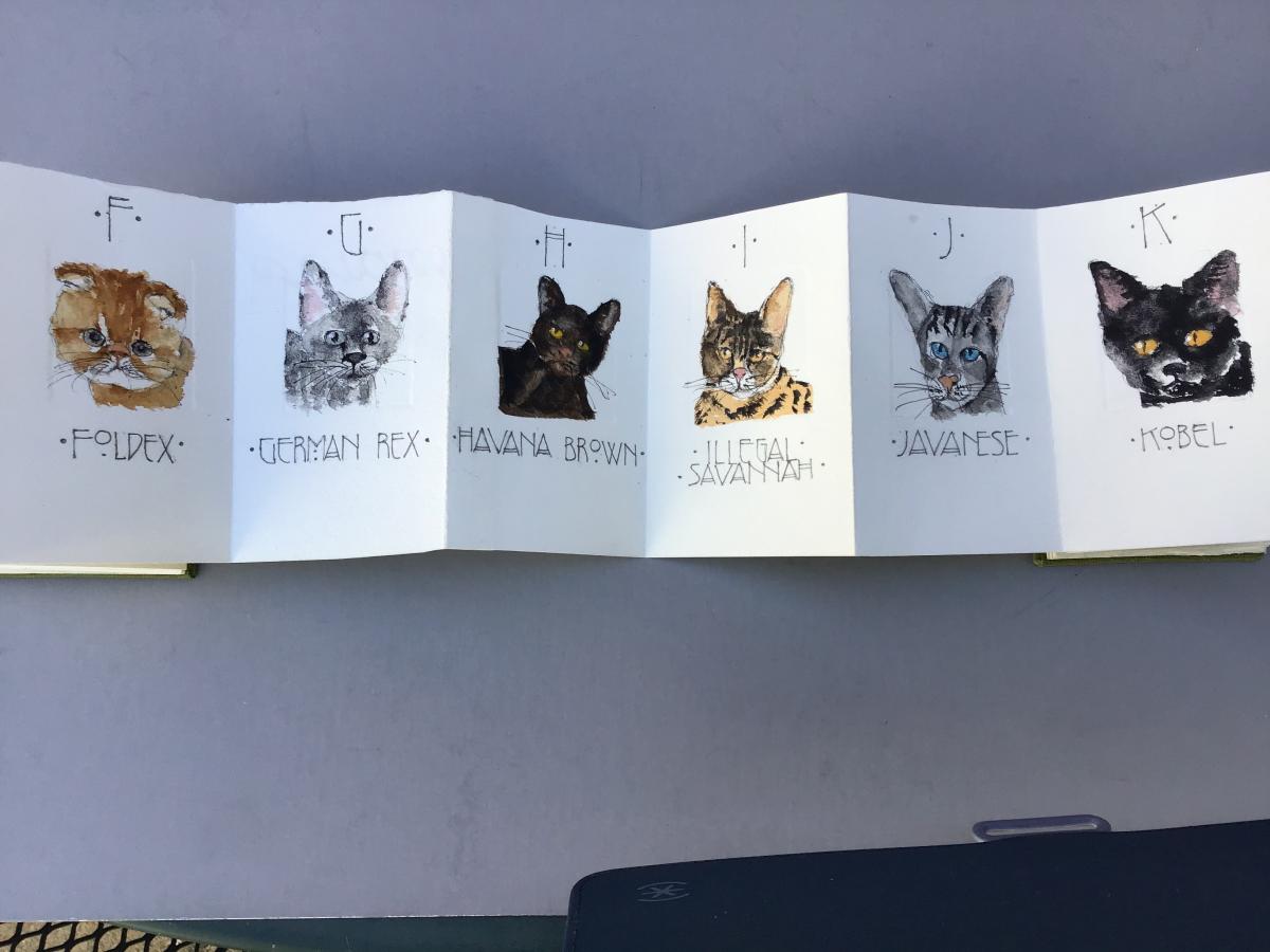 An Alphabet of Cats picture