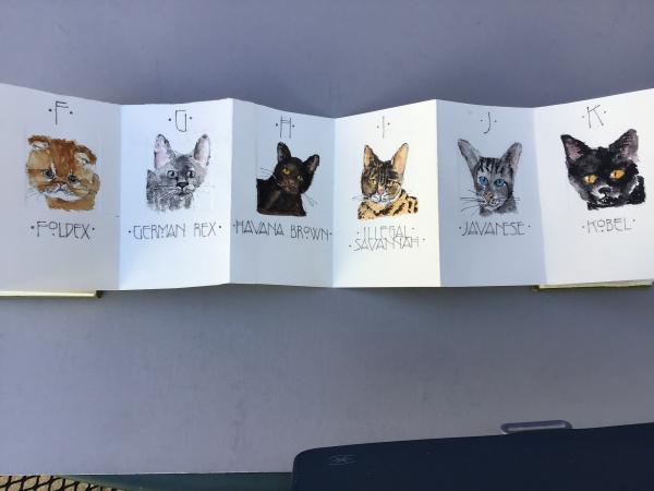 An Alphabet of Cats picture