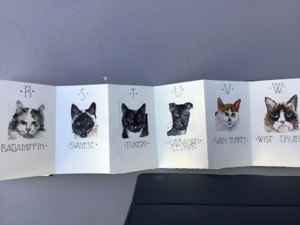 An Alphabet of Cats picture