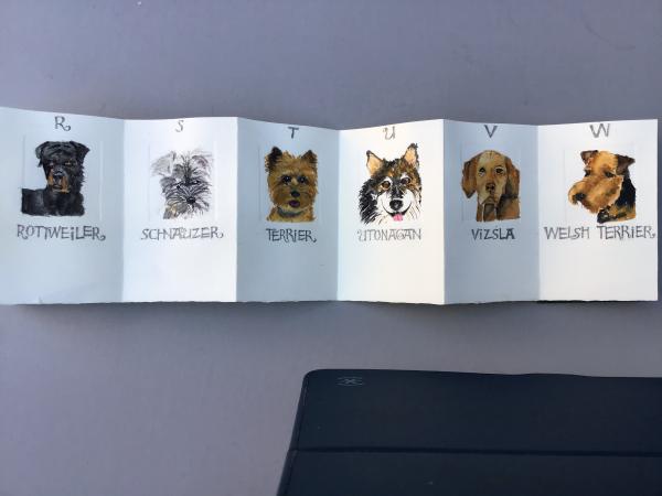 An Alphabet of Dogs picture