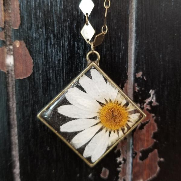 Real Daisy Preserved in Resin inside Antique Brass Frame picture