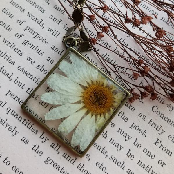 Real Daisy Preserved in Resin inside Antique Brass Frame picture