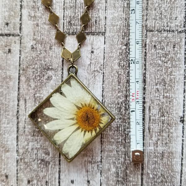 Real Daisy Preserved in Resin inside Antique Brass Frame picture