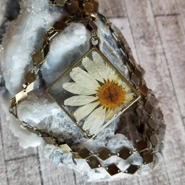 Real Daisy Preserved in Resin inside Antique Brass Frame picture
