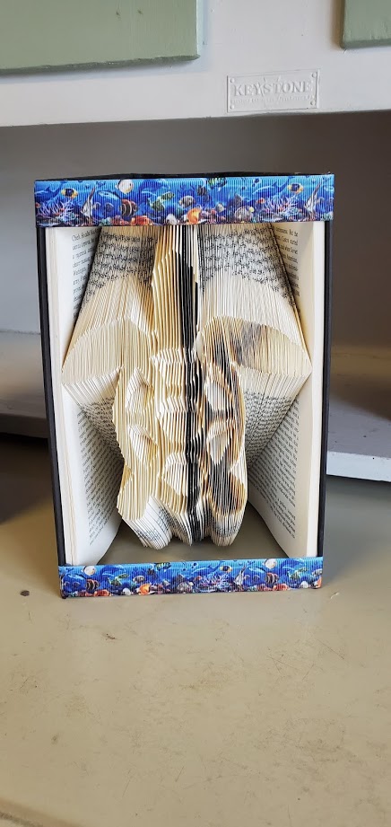 Folded Book picture