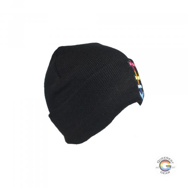 Pansexual Beanie picture