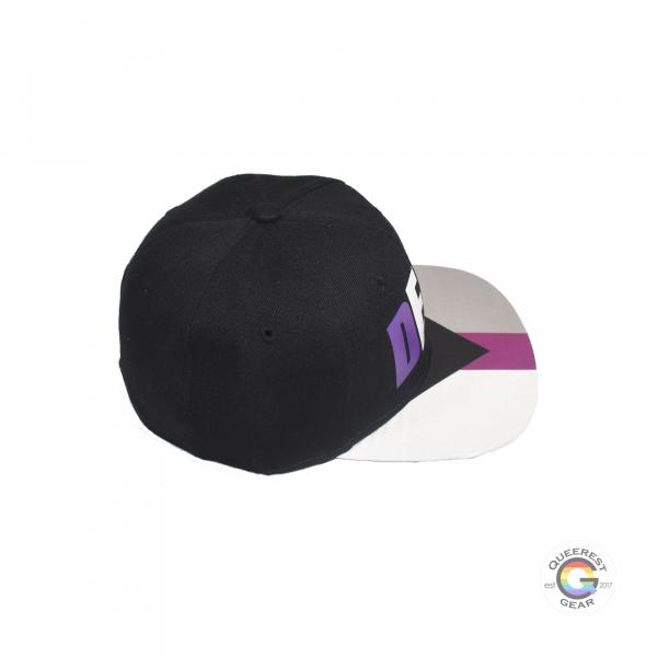 Demisexual Snapback Hat picture