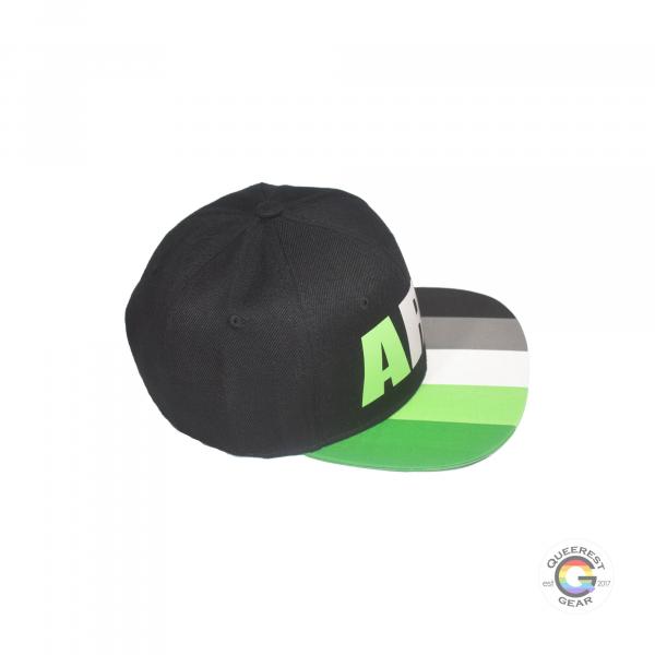 Aromantic Snapback Hat picture