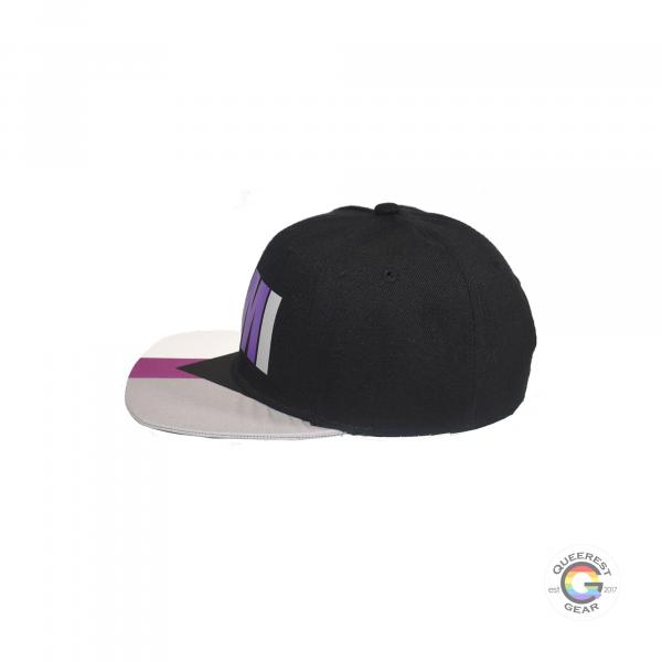 Demisexual Snapback Hat picture