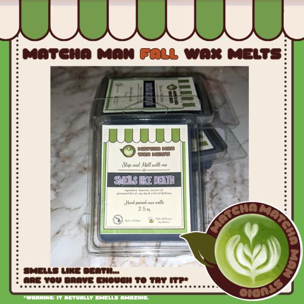 Matcha Man Fall Wax Melts picture
