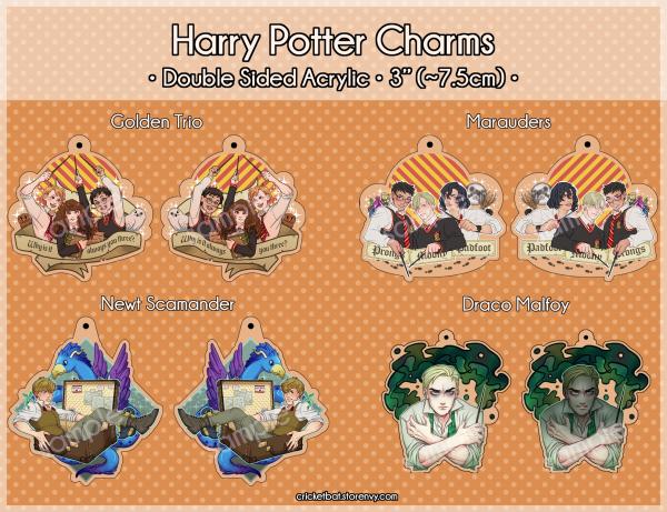 Harry Potter Charms picture