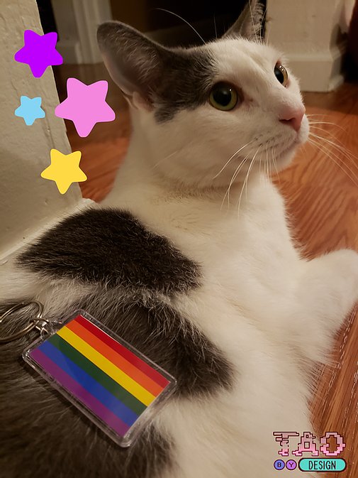 LBGTQ+ Pride Keychains picture