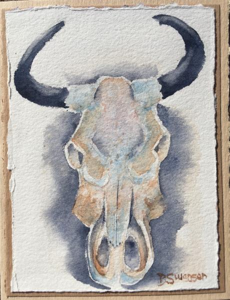 cow skull picture