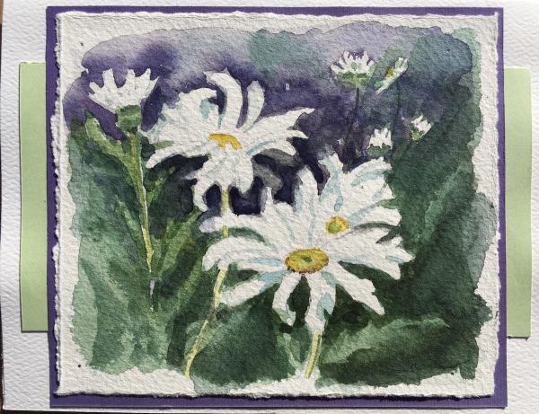 Daisies picture