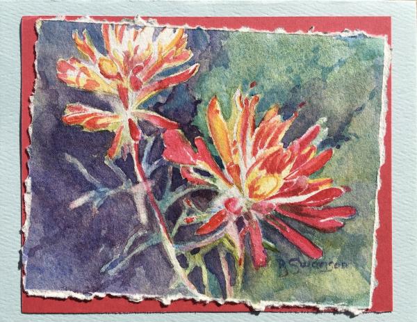 Indian paintbrush picture