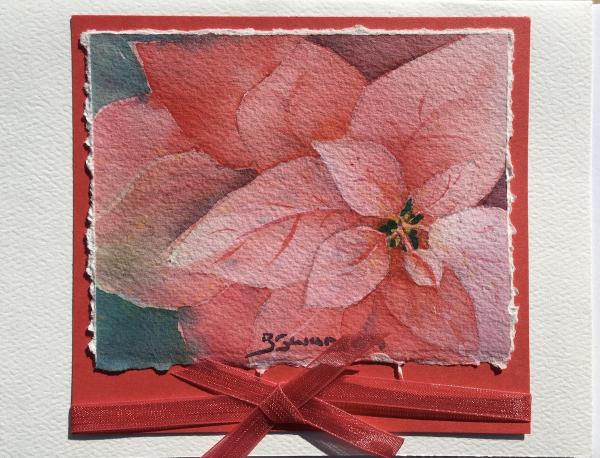 Poinsettia picture