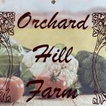 Orchard Hill Farm