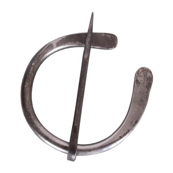 Flattened fibula picture