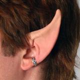 High Elf Ears picture