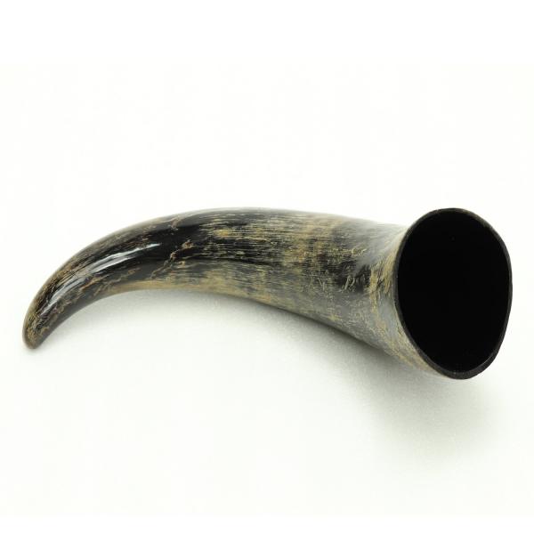 Drinking Horn picture