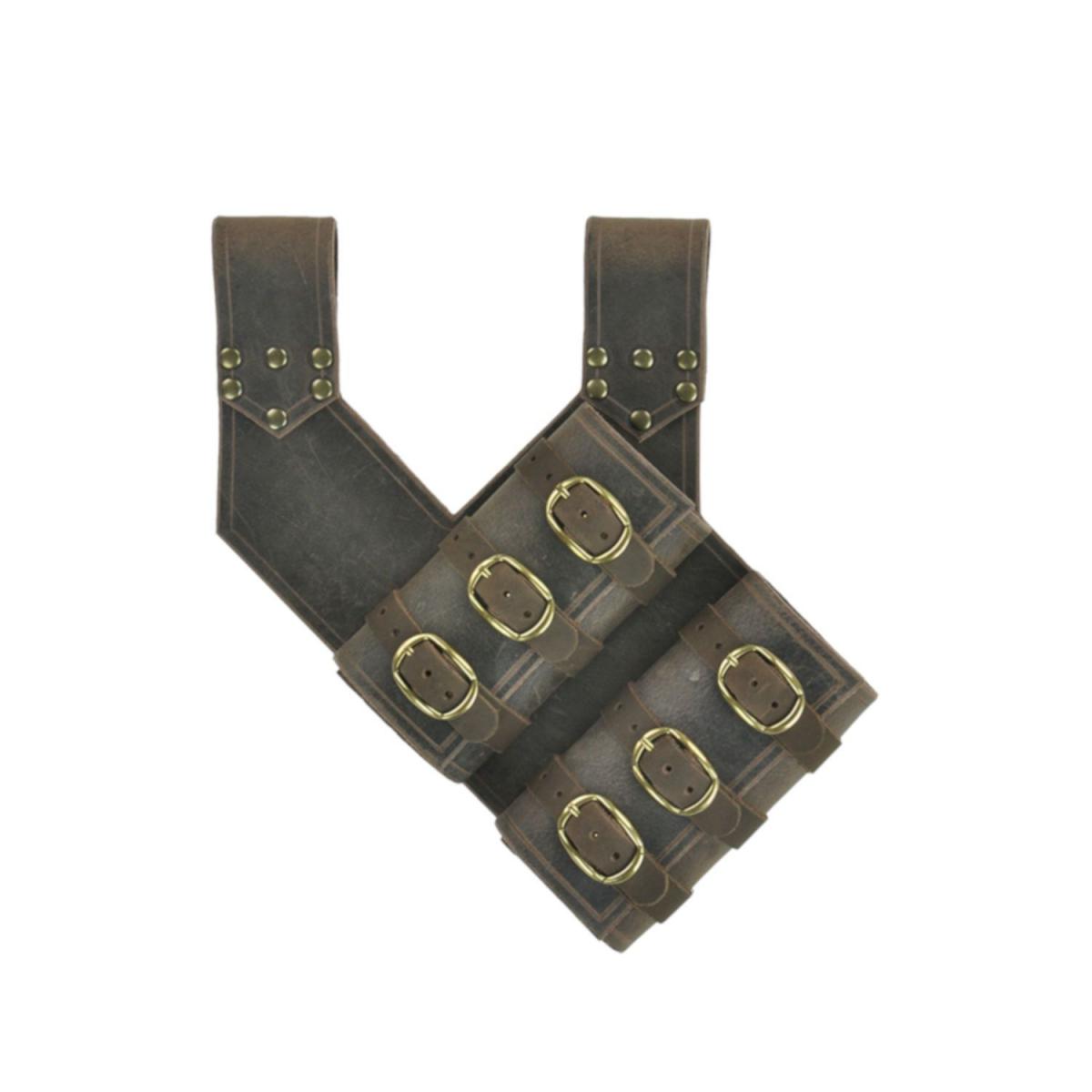 Adventurer's Double Scabbard picture