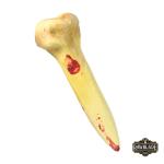 Bone Stake Throwing Weapon